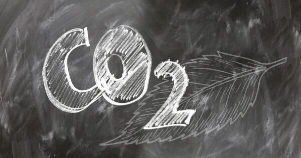 CO2 kompensieren?