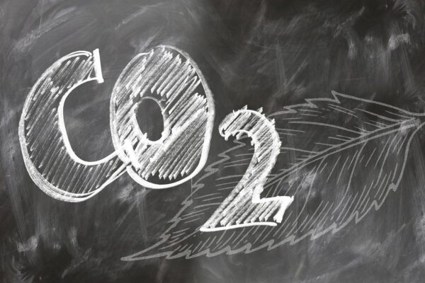 CO2 kompensieren?