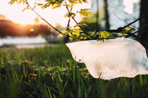 Plastikfasten im Februar – Meine Erfahrungen