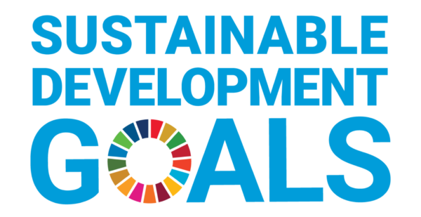 Die Sustainable Development Goals der UN