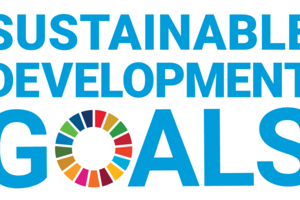 Die Sustainable Development Goals der UN